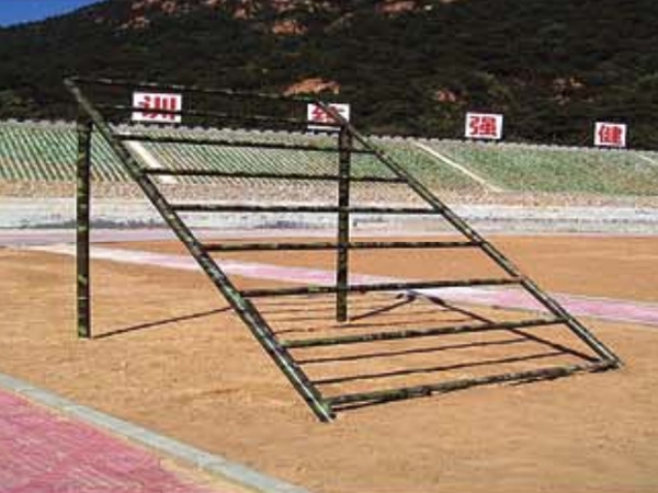 跨越巅峰