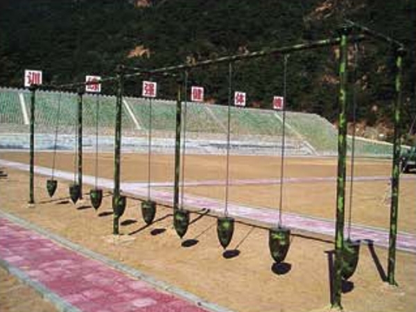 地面荡木桥